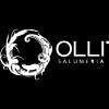 Olli Logo Olli Logo
