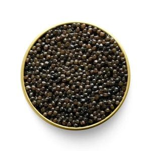 Beluga Hybrid Caviar