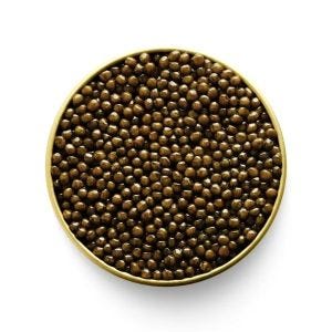 Kaluga Hybrid Caviar