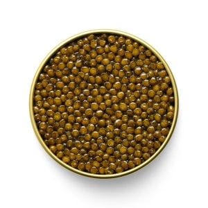 Osetra Karat Amber Caviar